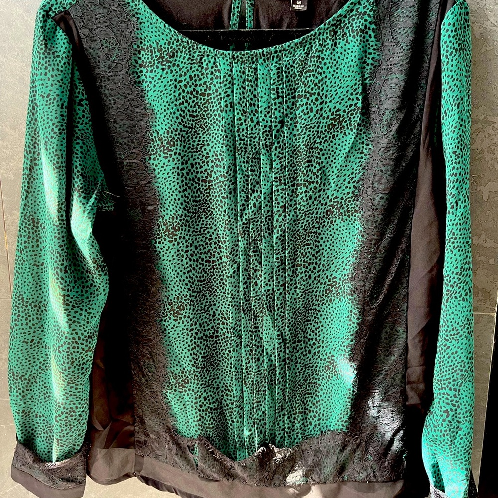 Green blouse. Lightweight. For office or dressed down with jeans. Ann Taylor